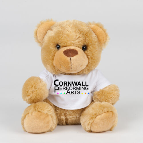 Cornwall Performing Arts Teddy Thumbnail