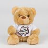 Bear in a t-shirt Thumbnail
